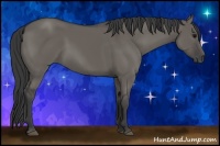 Horse Color:Grullo Rabicano 
