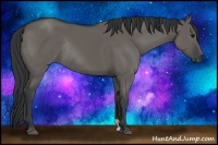 Horse Color:Grullo Rabicano 