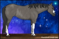 Horse Color:Grullo Rabicano 