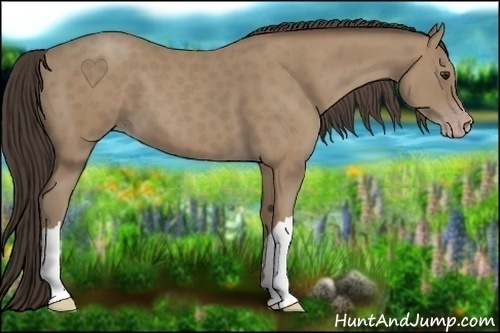 Horse Color: Classic Champagne 