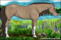 Horse Color:Classic Champagne 