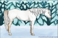 Horse Color:Gray Palomino Pearl 
