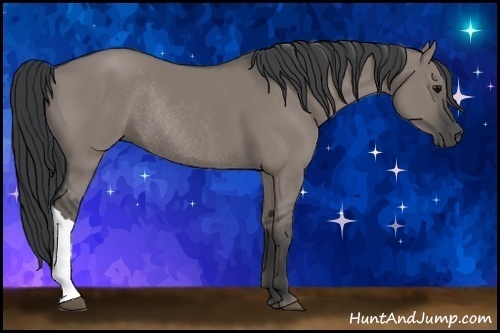 Horse Color: Grullo Rabicano 