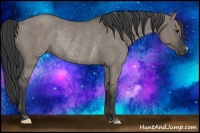 Horse Color:Grullo Rabicano