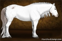 Horse Color:Bay Roan Varnish 