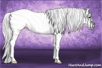 Horse Color:Gray Bay