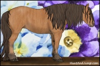 Horse Color:Bay  Brindle