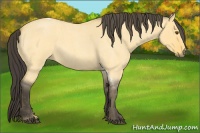 Horse Color:Buckskin Roan Dun Tobiano  Brindle