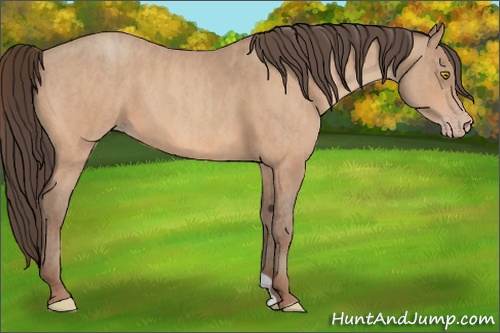 Horse Color: Amber Champagne  Brindle