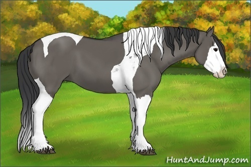 Horse Color: Grullo Splash Tobiano 