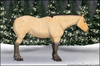 Horse Color:Buckskin Roan Tobiano  Brindle