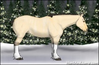 Horse Color:Buckskin Roan Dun Tobiano  Brindle