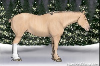 Horse Color:Gold Champagne  Brindle