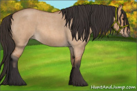 Horse Color:Bay Roan Dun 