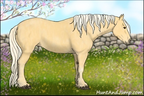 Horse Color: Palomino Tobiano  Brindle