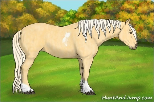 Horse Color: Palomino Tobiano  Brindle