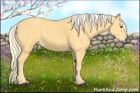 Horse Color:Palomino Tobiano  Brindle