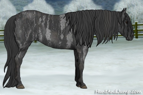 Horse Color: Blue Roan  Brindle