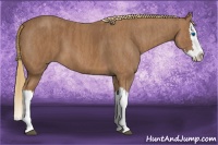 Horse Color:Chestnut Splash  Brindle