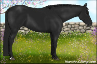 Horse Color:Gray Black 