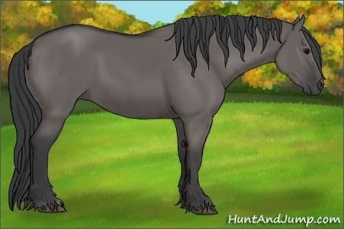 Horse Color: Grullo 