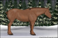 Horse Color:Chestnut  Brindle
