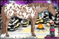 Horse Color:Chestnut Near Leopard  Brindle