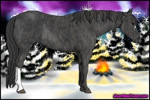 Horse Color: Black Rabicano  Brindle