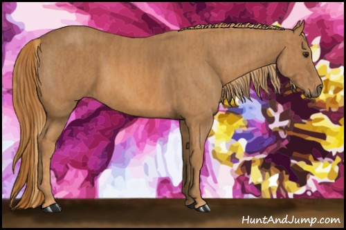Horse Color: Chestnut  Brindle