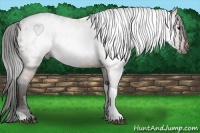 Horse Color:Gray Bay Tobiano Blanket  Brindle