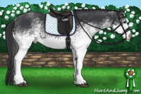Horse Color:White Spotted Black 