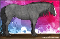 Horse Color:Blue Roan Splash  Brindle