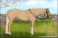 Horse Color:Palomino Roan Tobiano  Brindle