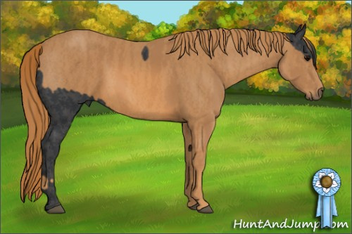 Horse Color: Brown  Brindle