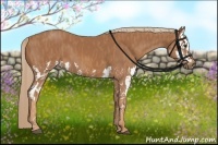Horse Color:Chestnut Splash  Brindle