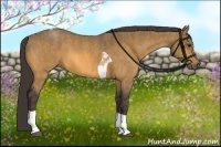 Horse Color:Buckskin Roan Tobiano Brindle