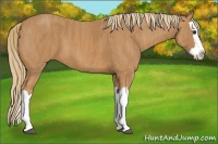 Horse Color:Chestnut Splash  Brindle