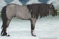 Horse Color:Grullo Roan Tobiano  Brindle