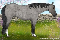 Horse Color:Grullo Roan Tobiano 