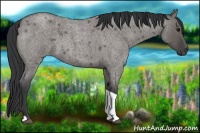 Horse Color:Grullo Roan Tobiano 