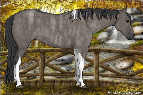 Horse Color: Grullo Roan Tobiano  Brindle
