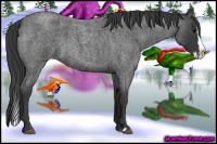 Horse Color:Blue Roan Splash 