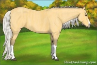 Horse Color:Silver Buckskin Splash  Brindle