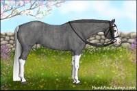 Horse Color:Blue Roan Splash  Brindle