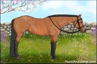 Horse Color:Bay  Brindle