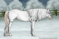 Horse Color:Chestnut Appaloosa  Brindle