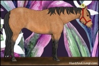 Horse Color:Bay  Brindle