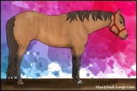 Horse Color:Bay  Brindle