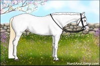 Horse Color:Buckskin Varnish  Brindle