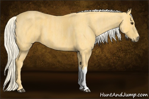 Horse Color: Palomino  Brindle